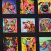 Multifarvet hunde - Patchwork rapport (129) - Info mangler