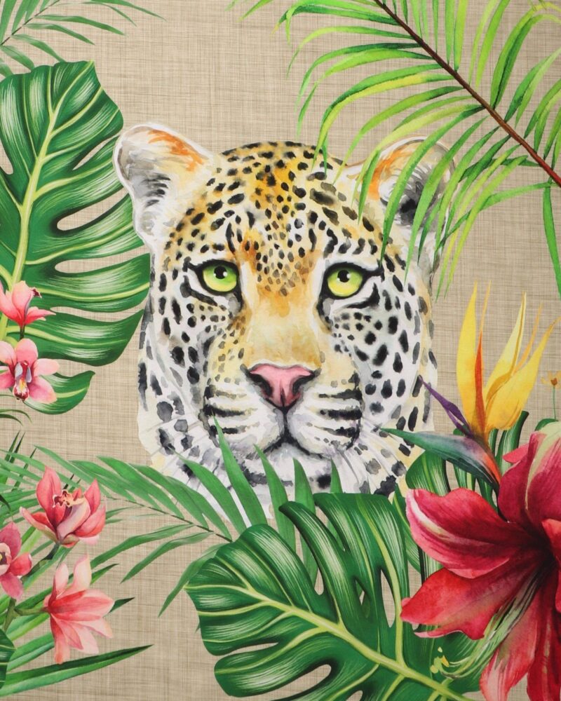 Leopard og zebra - Jersey rapport (8) - Info mangler