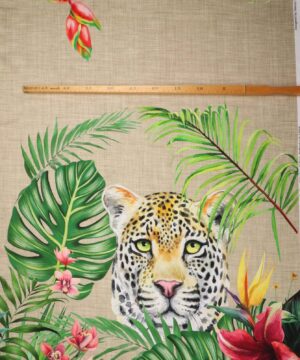 Leopard og zebra - Jersey rapport (8) - Info mangler