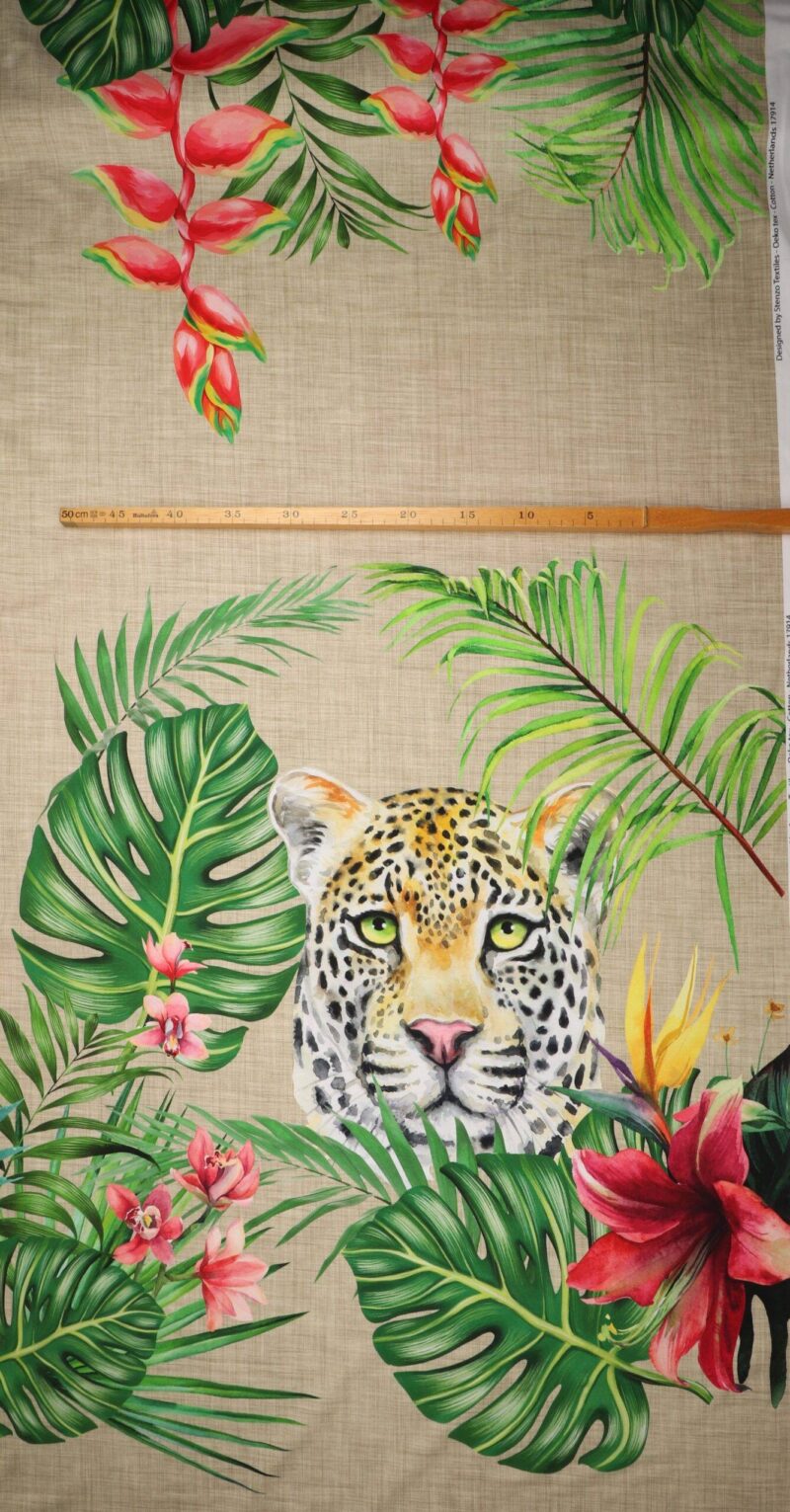 Leopard og zebra - Jersey rapport (8) - Info mangler
