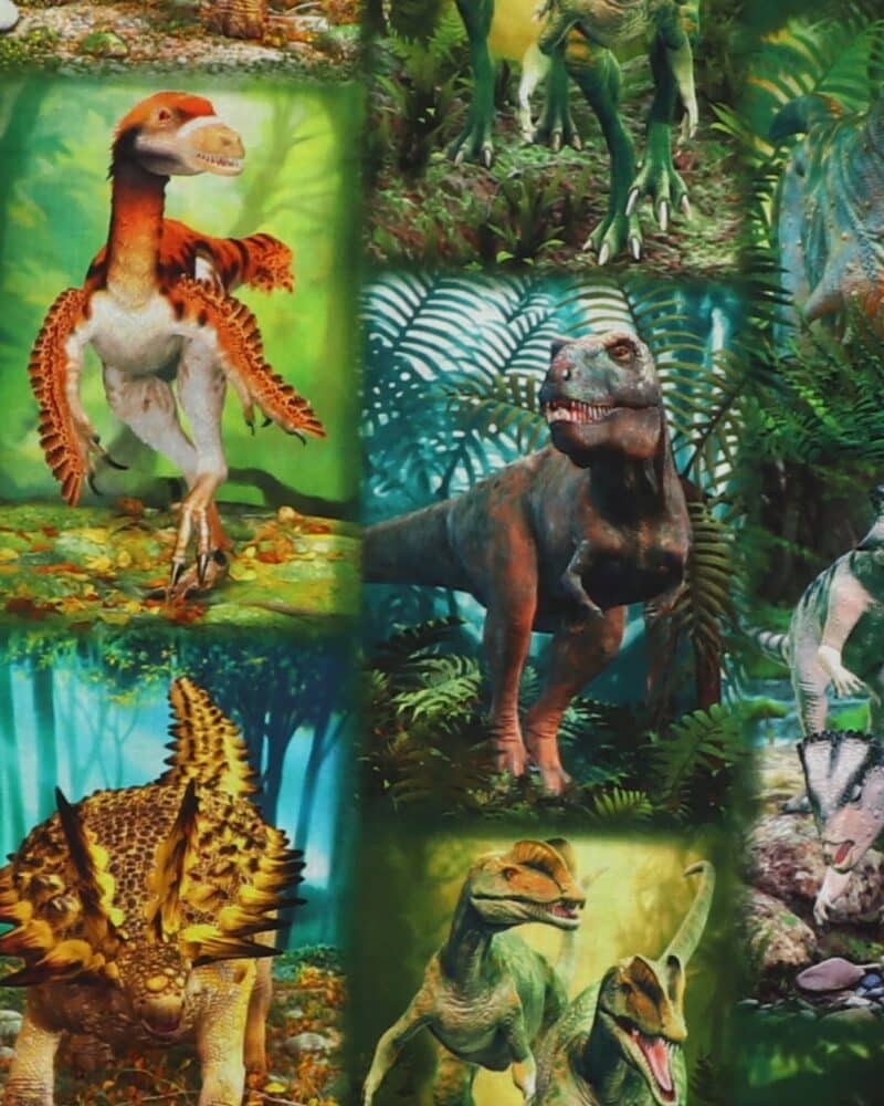 Dinosaurer - Patchwork - Info mangler
