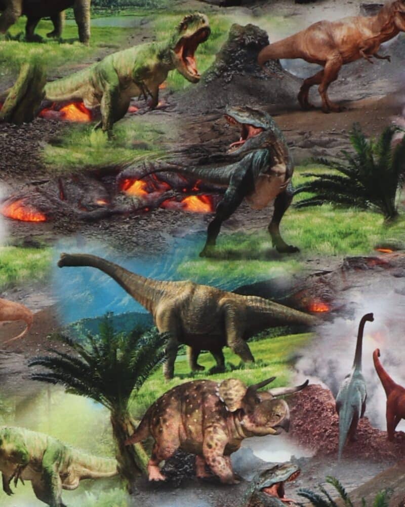 Dinosaurer og vulkaner - Jersey - Info mangler
