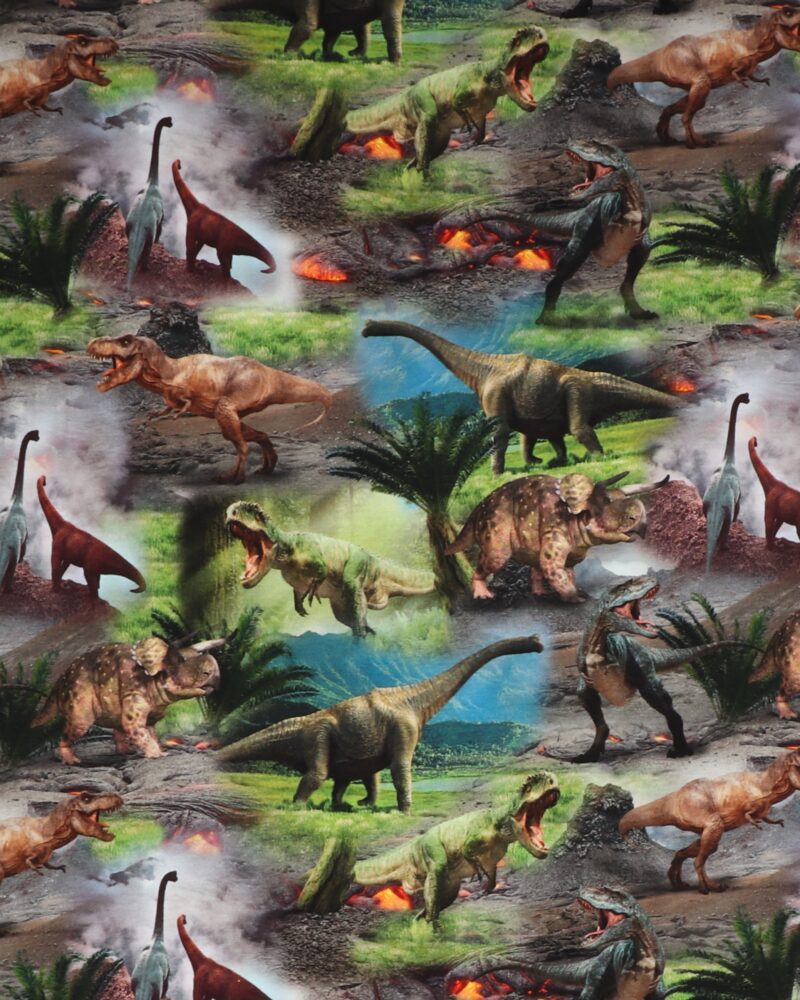 Dinosaurer og vulkaner - Jersey - Info mangler