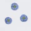 Anemone - 16 mm -
