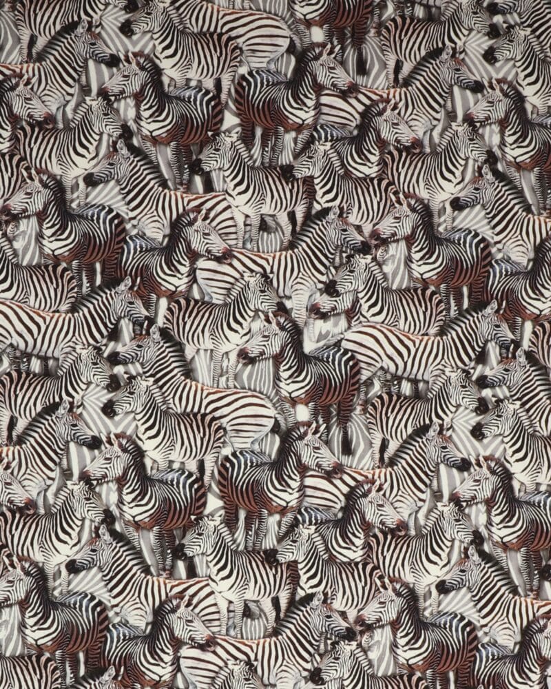 Zebra - Jersey - Info mangler
