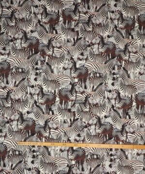 Zebra - Jersey - Info mangler