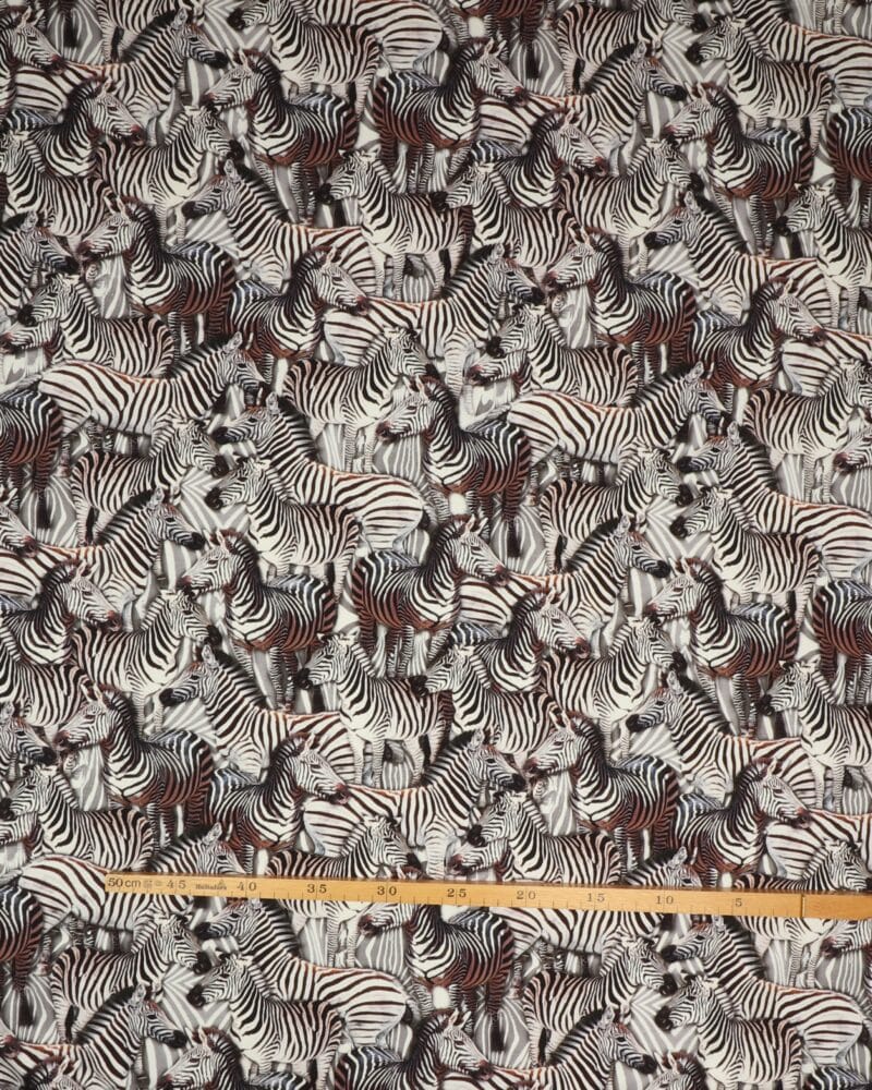 Zebra - Jersey - Info mangler