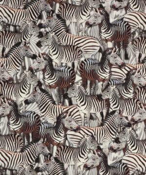 Zebra - Jersey - Info mangler