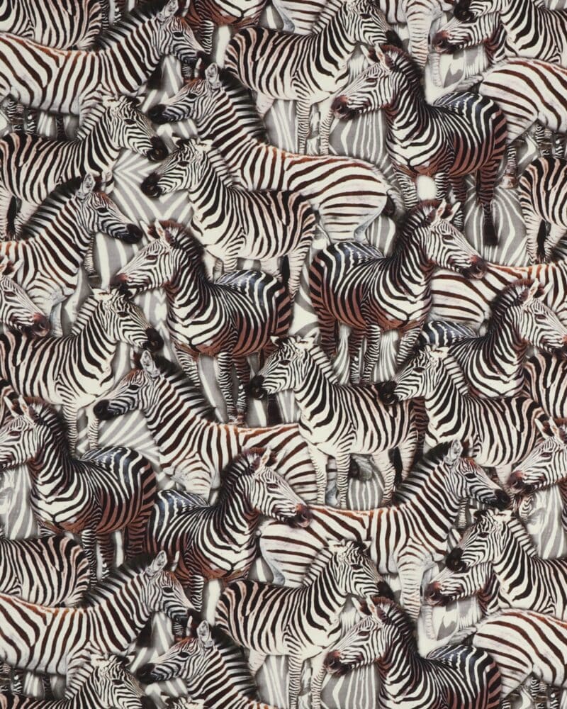 Zebra - Jersey - Info mangler