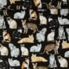 Racekatte - Patchwork - Robert Kaufman