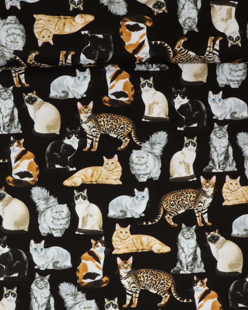 Racekatte - Patchwork - Timeless Treasures Fabrics of SoHo