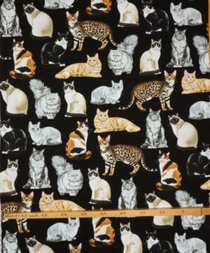 Racekatte - Patchwork - Timeless Treasures Fabrics of SoHo