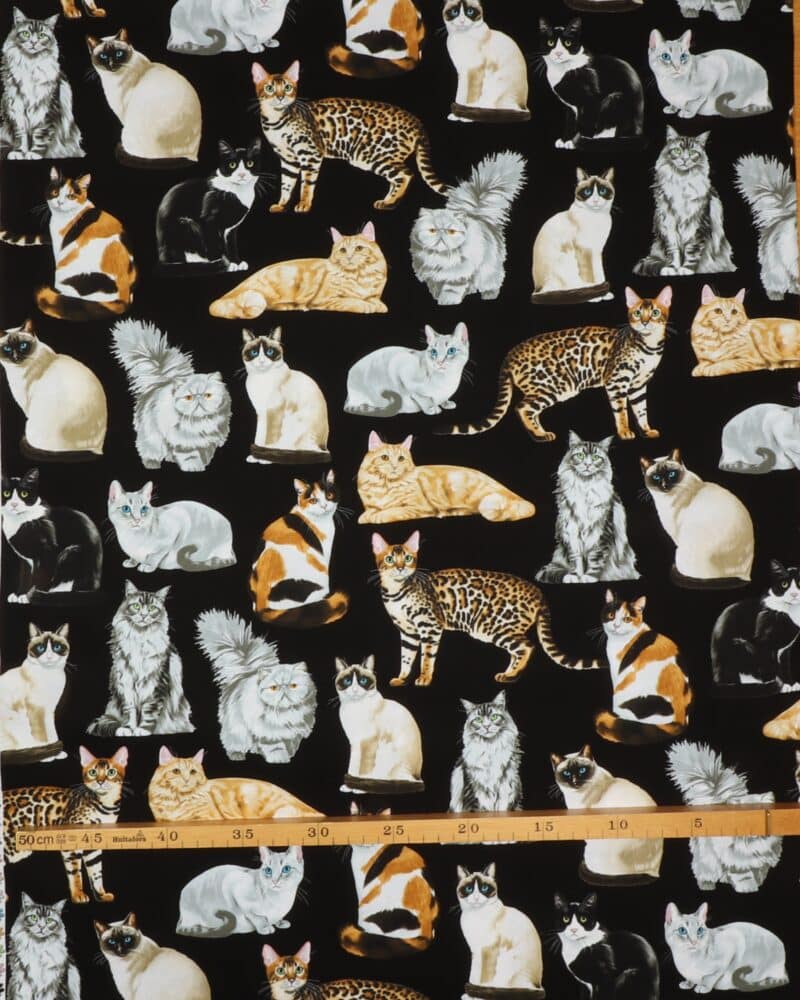 Racekatte - Patchwork - Timeless Treasures Fabrics of SoHo