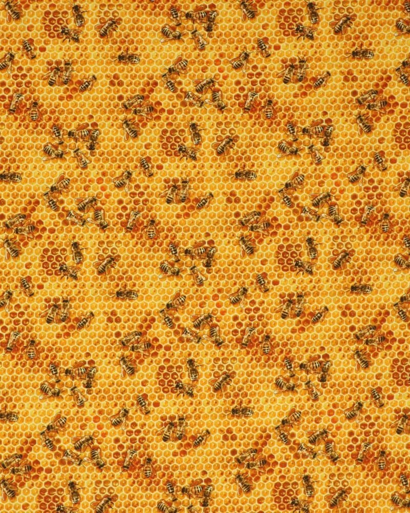 Bier - Patchwork - Elizabeth's studio