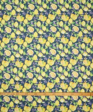 Citroner og bier på blå bund - Patchwork - Paintbrush studio fabrics