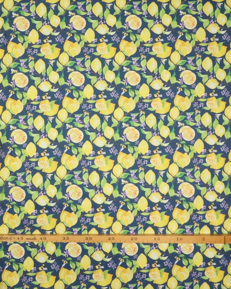 Citroner og bier på blå bund - Patchwork - Paintbrush studio fabrics
