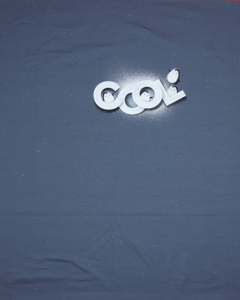 Cool pingvin - French Terry rapport - Swafing